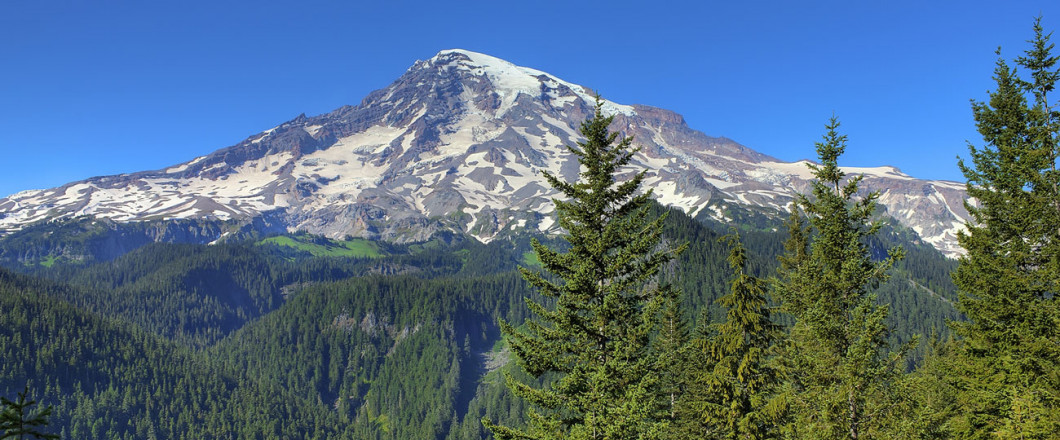 Felony Attorney Criminal Dui Law Gig Harbor Pierce County Wa
